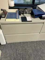 [#D6-67] 2 Drawer Tan Filing