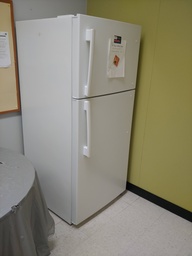 [#G10-26] Fridge - Full Sized