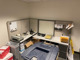 [#A4-41] Workstation P