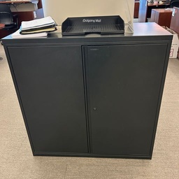 [#D18-32] 2-Door storage cabinet