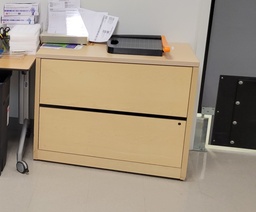 [#D6-121] Lateral, 2 drawer(Hazard Drug)