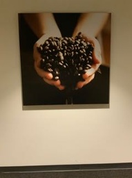 [#J1-7] Coffee Beans in Hands Artwork