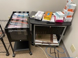 [#D18-41] Rolling File Cabinet