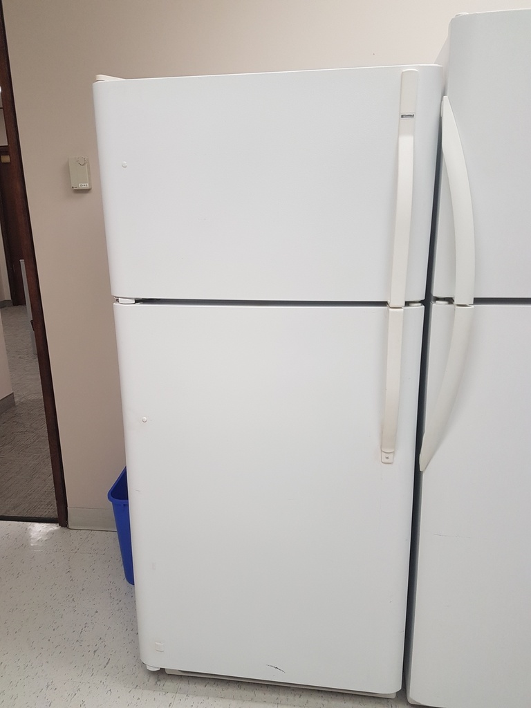 Regular Fridge - With freezer