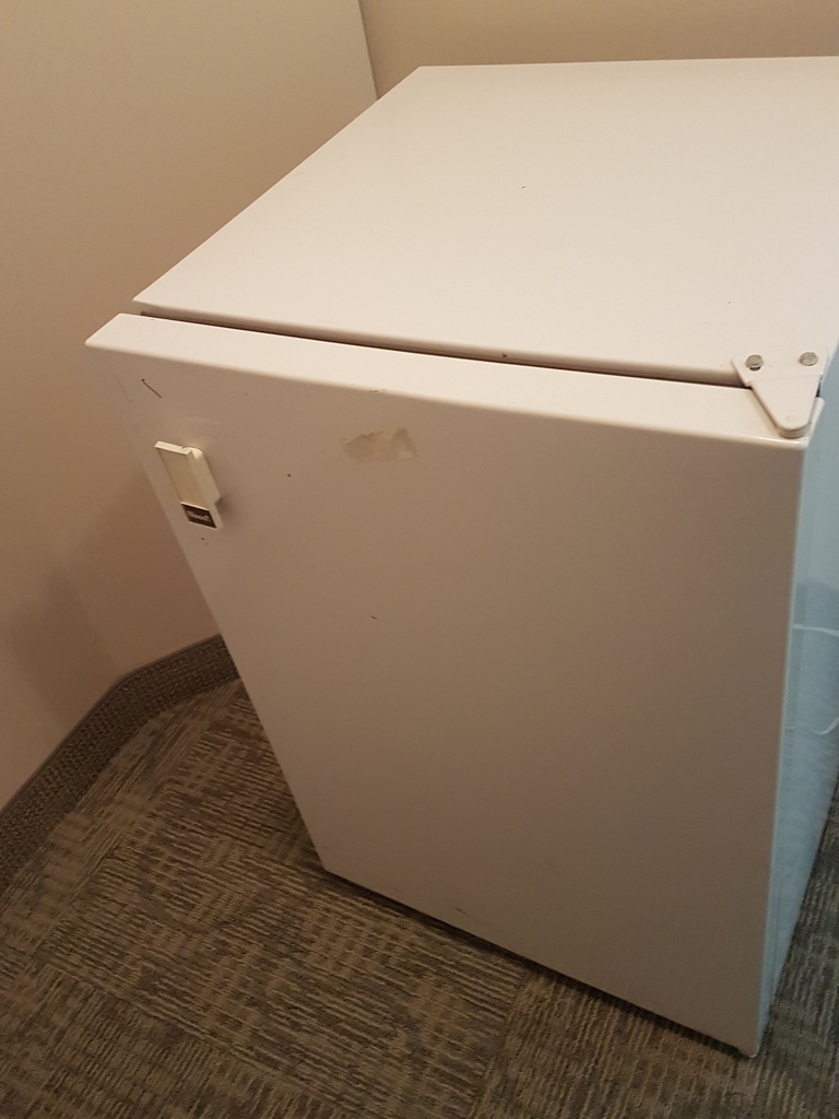 Mini Fridge (Woods)
