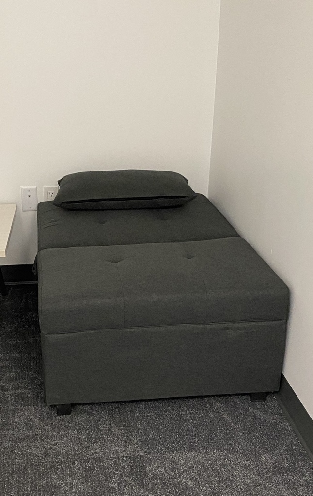 Wellness bed