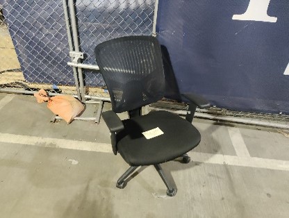 Chair, Task 