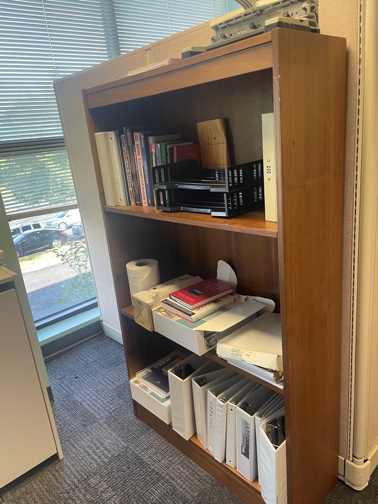 Bookcase (3')