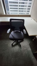 Keilhauer chairs