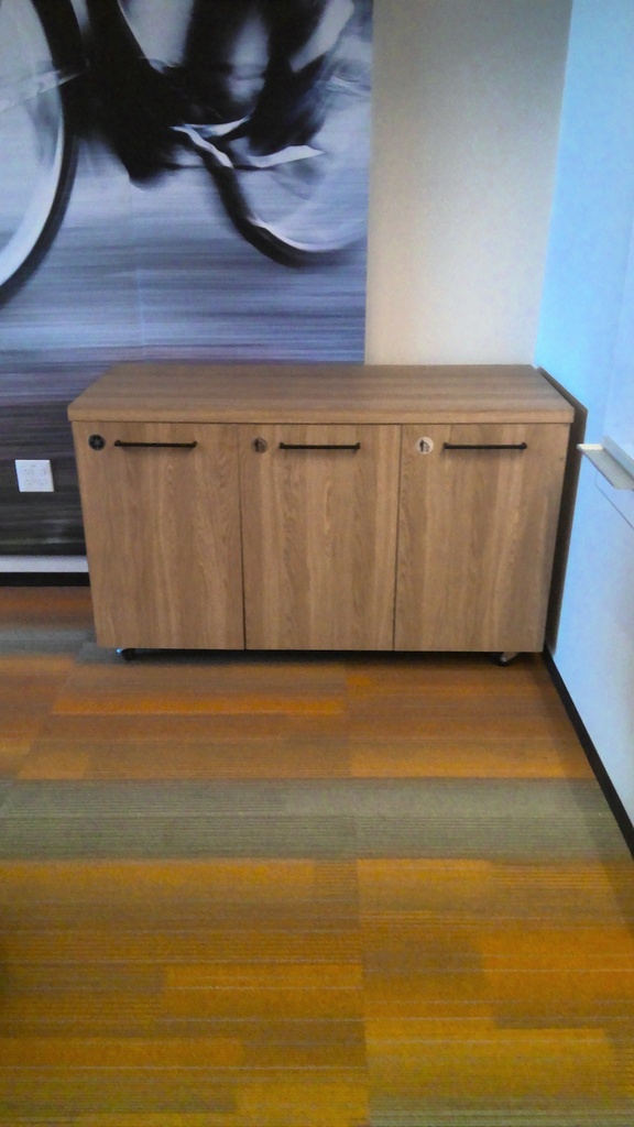 Trash can credenza, with wheels