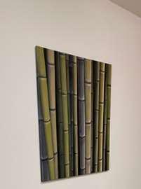 Picture/Artwork (photo representative)