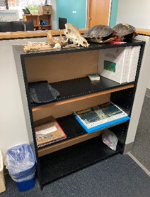 Black Wood Bookcase, 30x12x50"