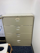 Medium File Cabinet, 42x19x53"