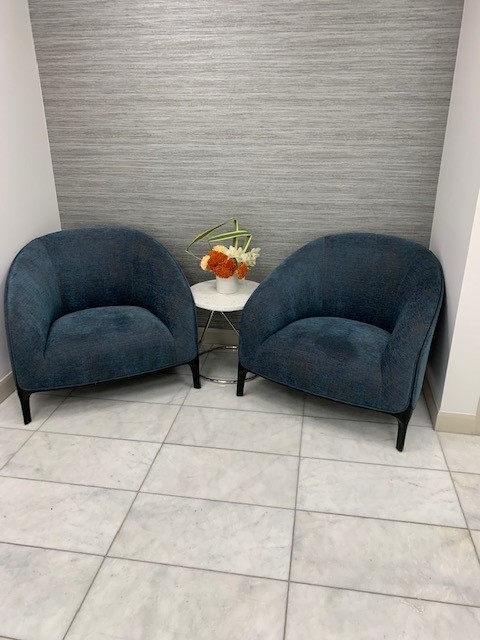 Reception Area Blue Chairs 