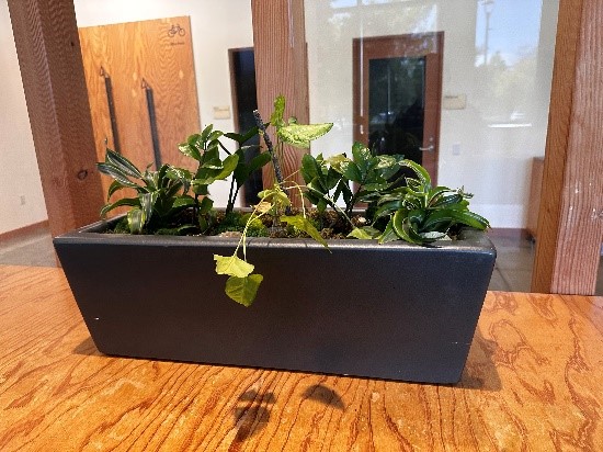 Small Planter
