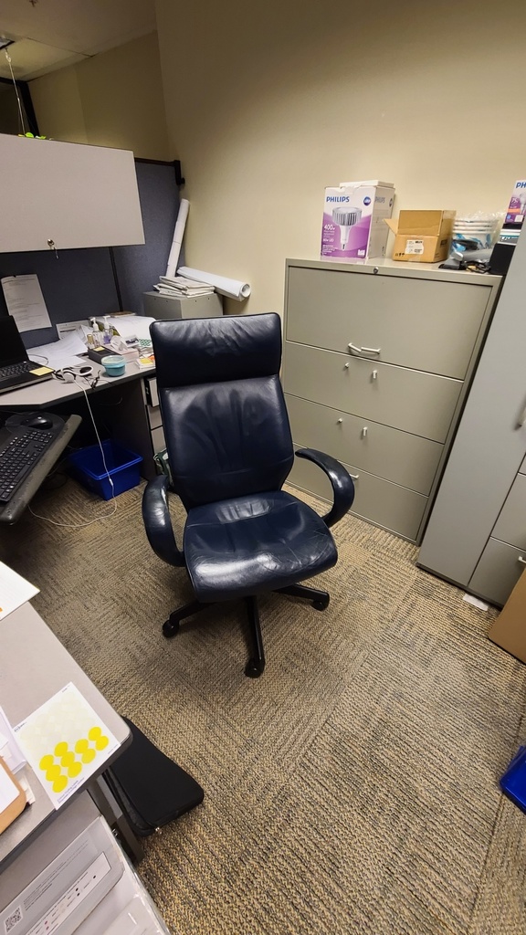 Low back leather chair