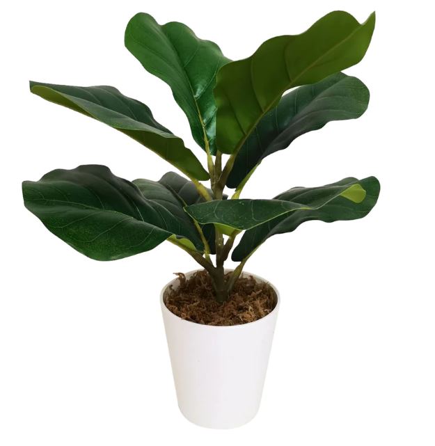 4in Foliage Assorted