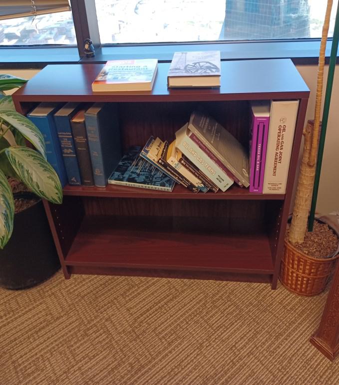 Bookcase 2 Hi