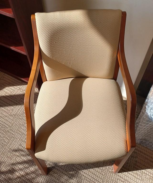 Guest Tan Chair