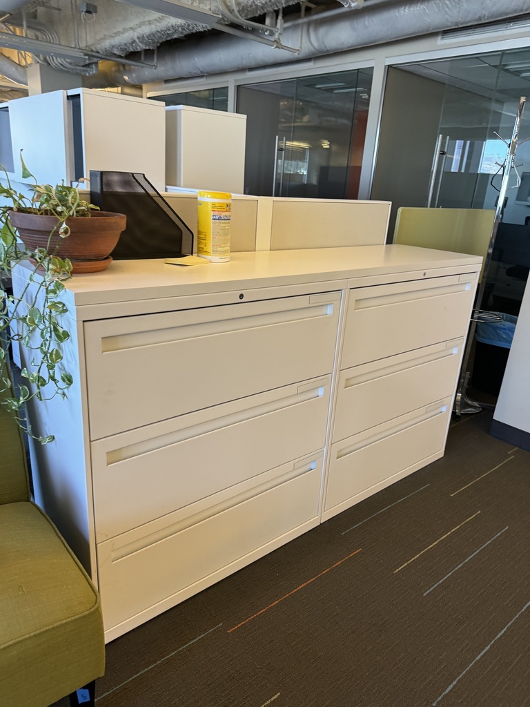 Low Bookshelf &amp; File Cabinet