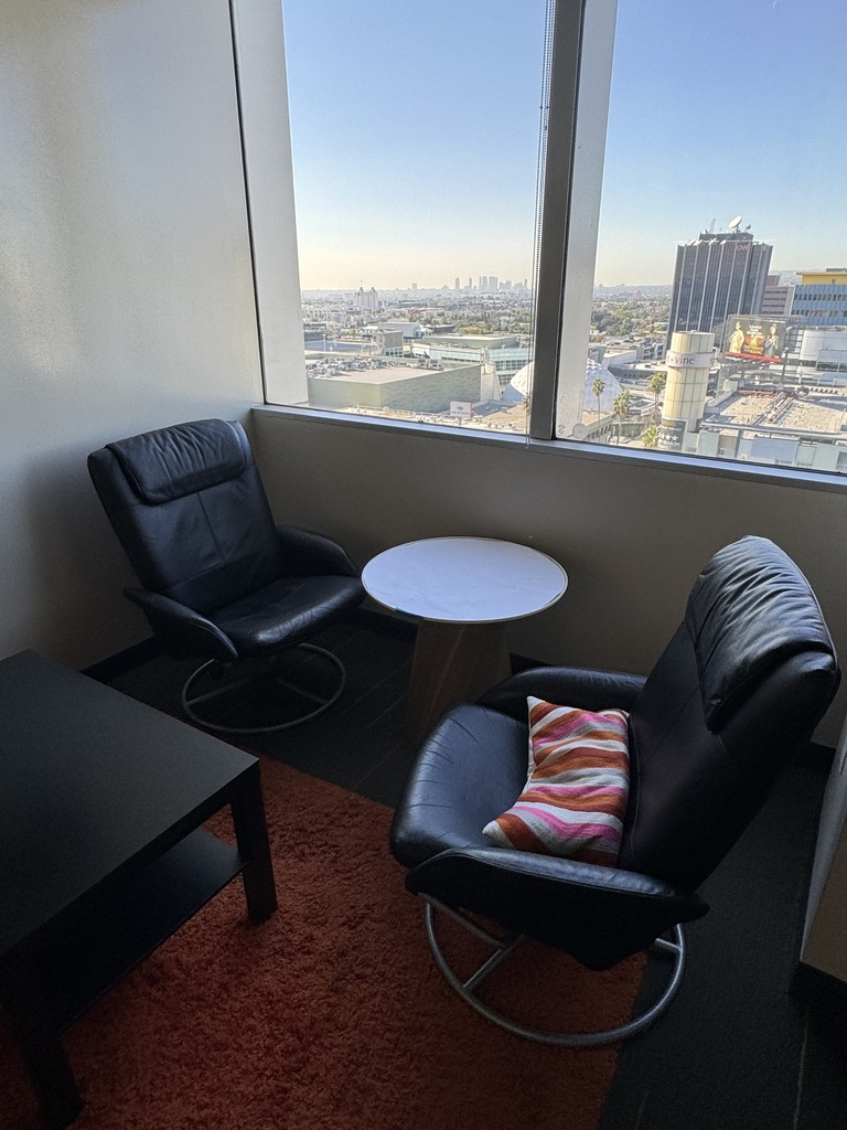 Leather Chair