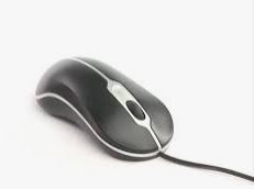 Mouse