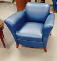 Lounge Chair 1