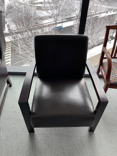 Leather Chair 