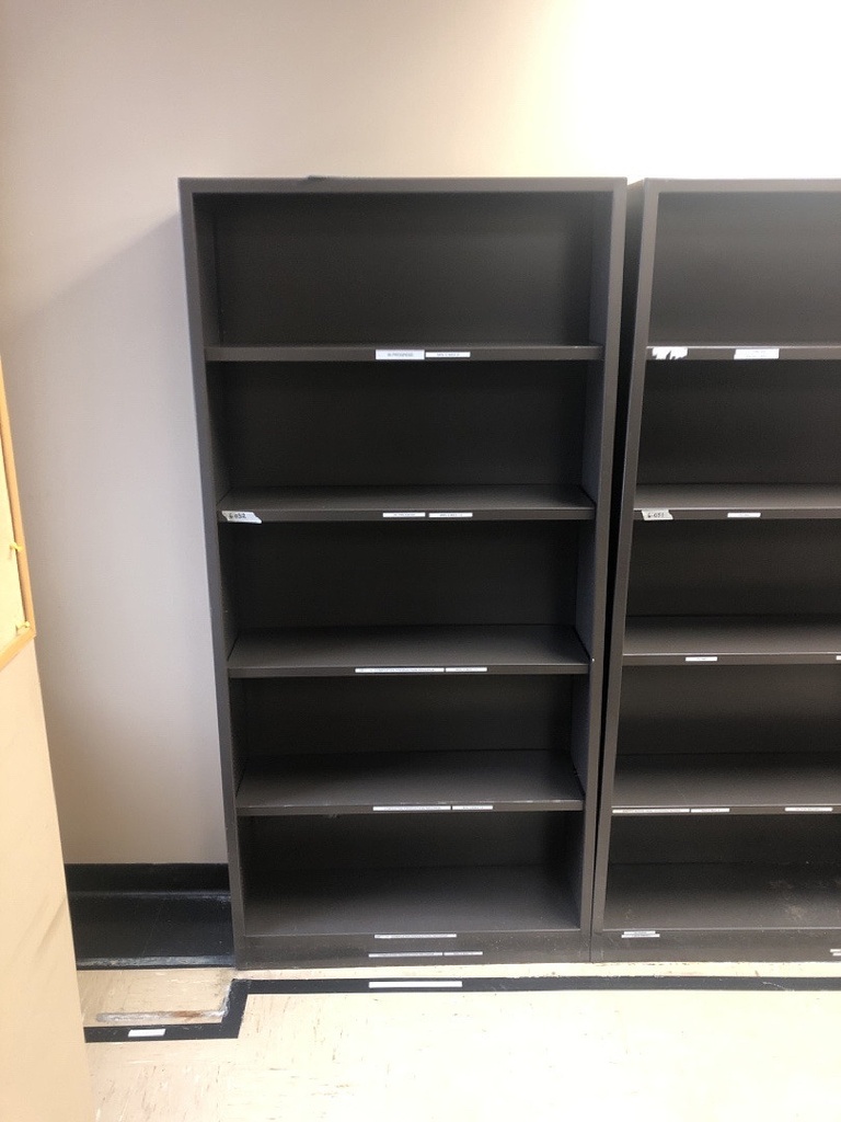 Bookcase 5+ Shelves