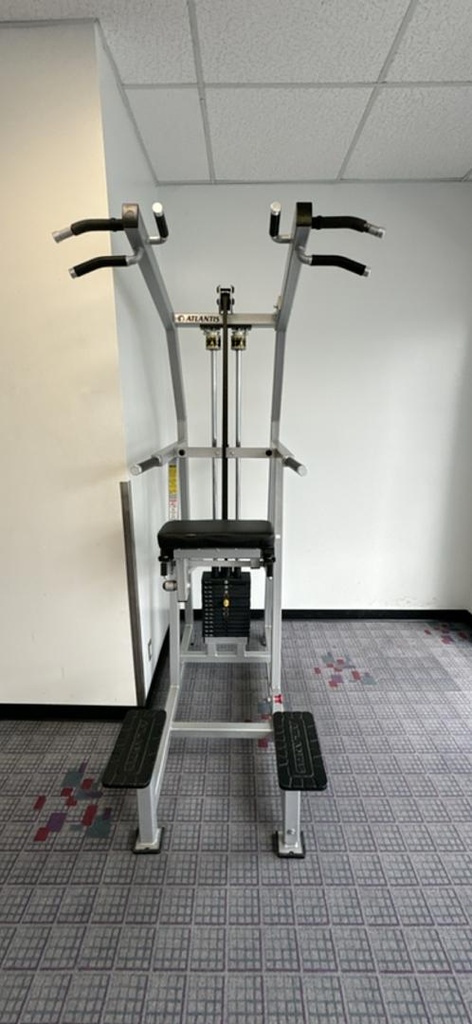 Pull Up/Dip Machine
