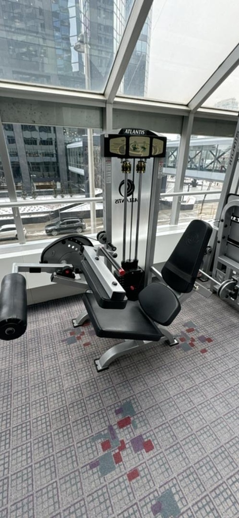 Leg Curl Machine
