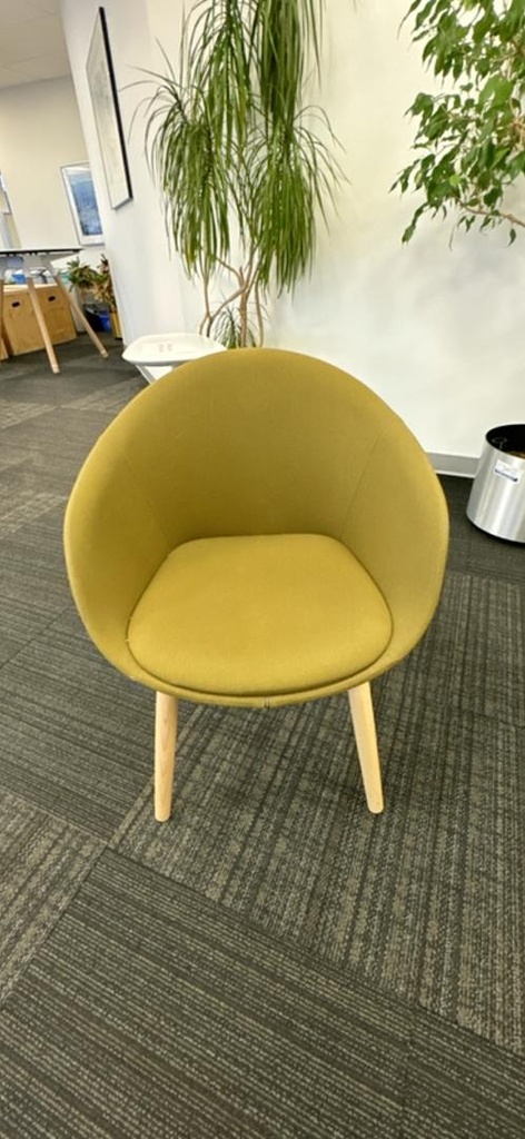 Fabric Guest Chair, Olive