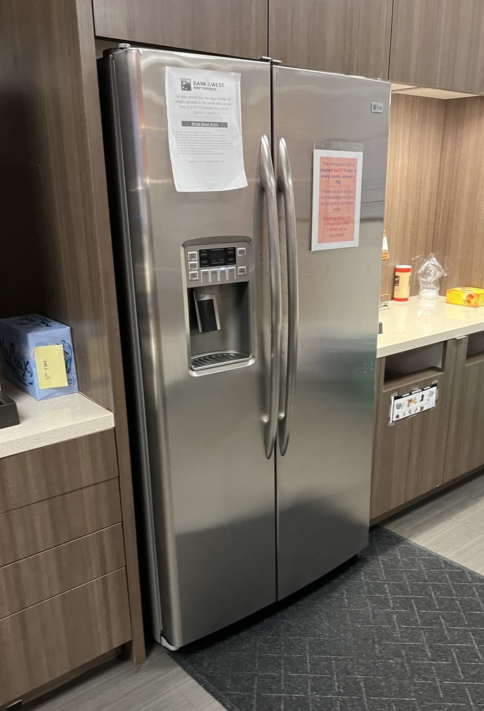 GE Stainless Steel Refrigerator
