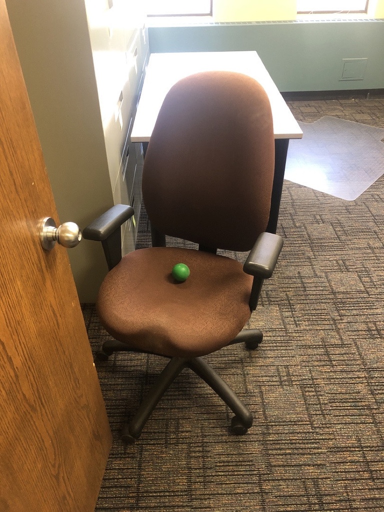 Task Chair with Arms 