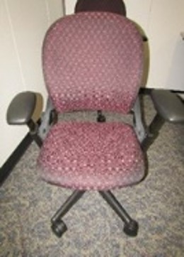 Red Leaplx Task Chair