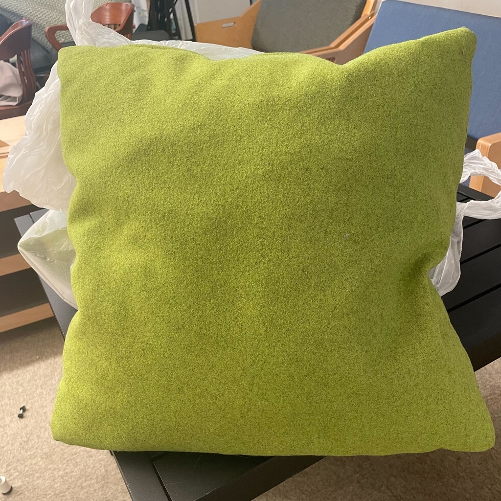 Green Throw Pillow
