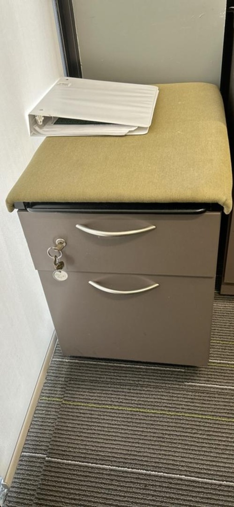 Mobile Pedestal