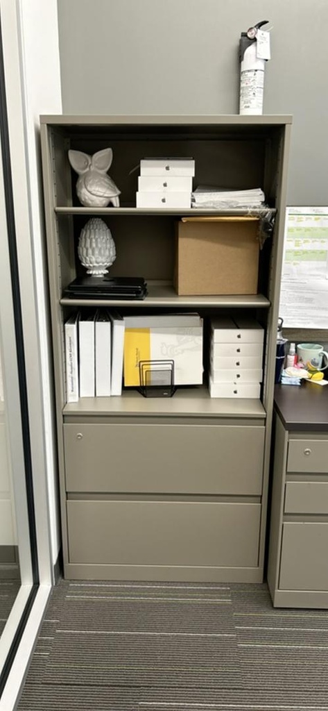 Shelf/Storage Cabinet