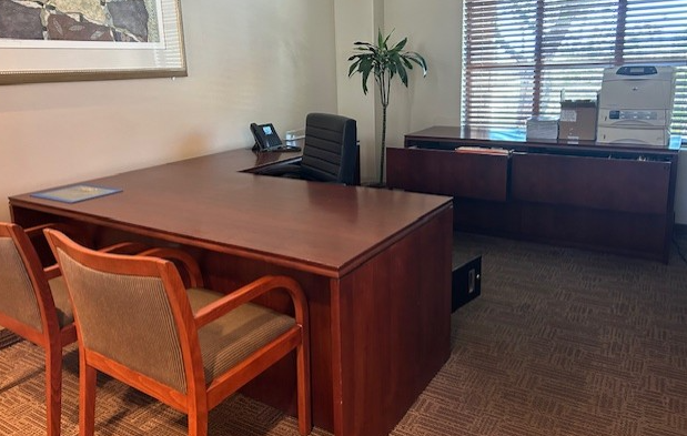 Private Office Desk