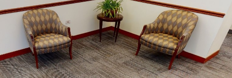 Patterened Lounge Chair