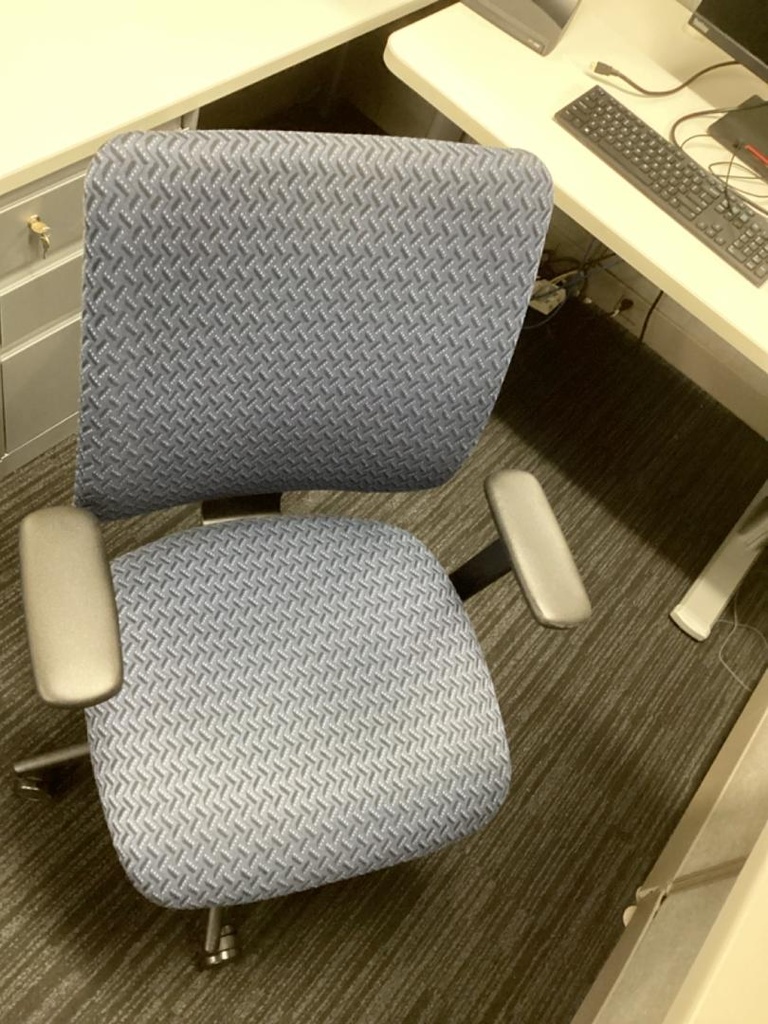 Turnstone Crew Chair - Patterned Blue