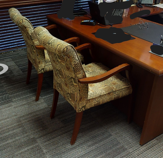 Patterned Guest Chairs