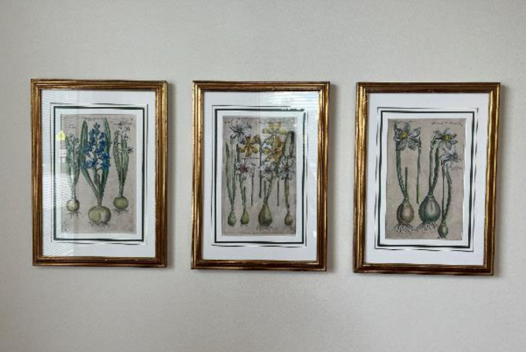 Artwork - Botany