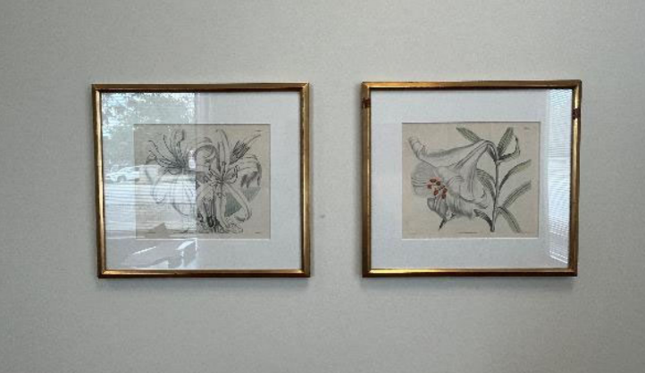 Artwork - Flowers