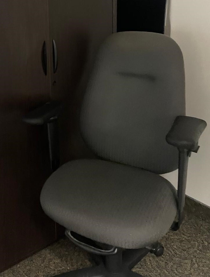 Ergo Chair
