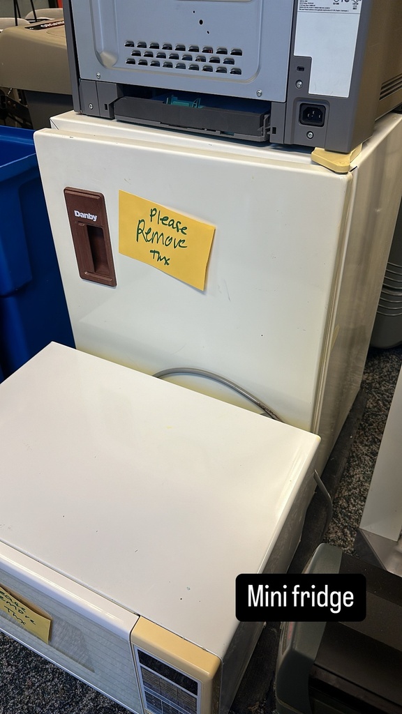 Mini Fridge