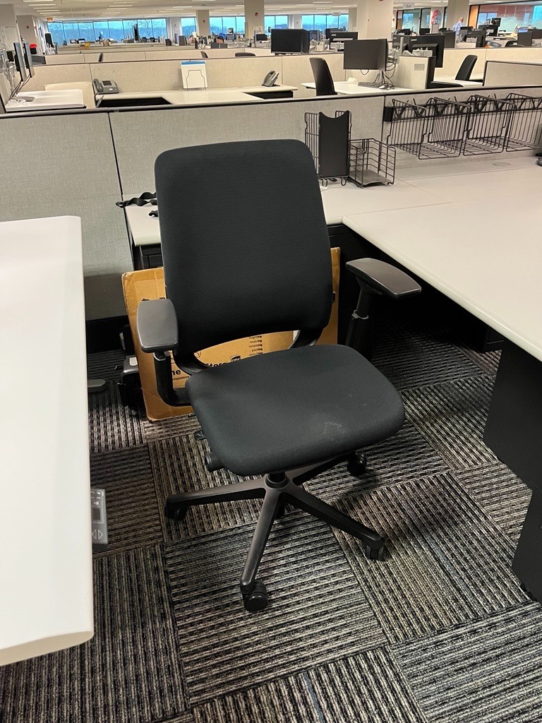 Steelcase Amia Chair