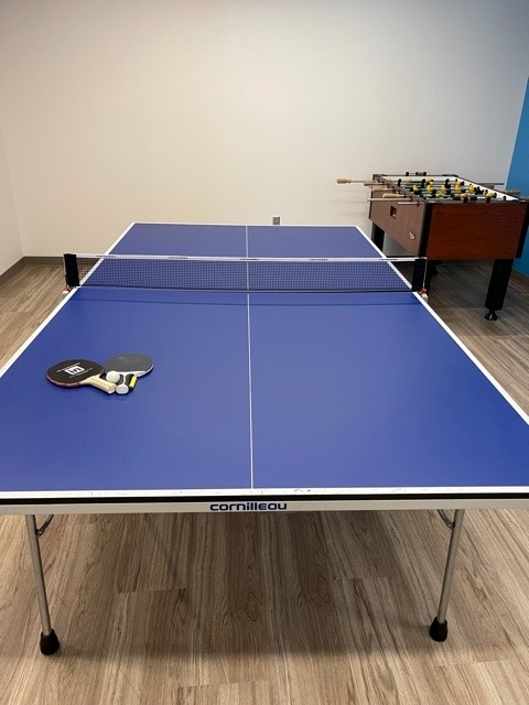 Ping Pong Table 