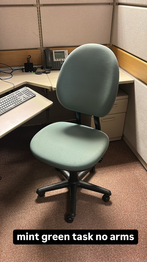 Mint Green Task No Arms