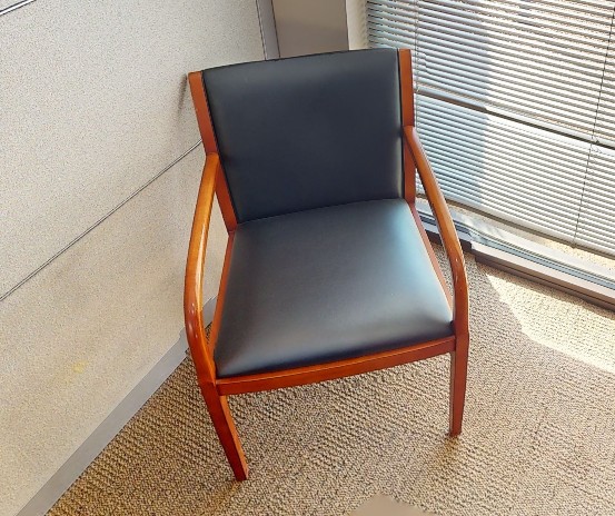 Guest Chairs